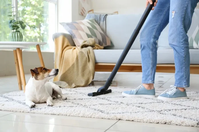 How to get dog smell out of carpet