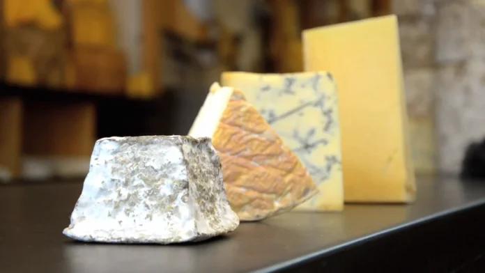 Pros & Cons Cheese