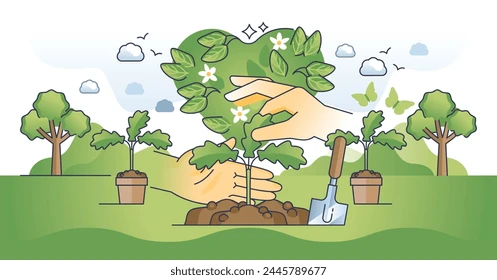 How to planting trees effect on Environment